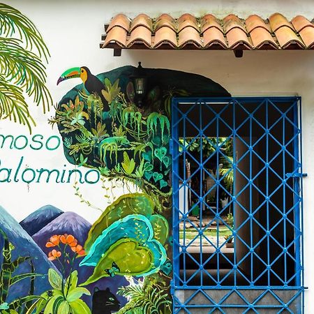 Hostal Hermoso Palomino Exterior foto