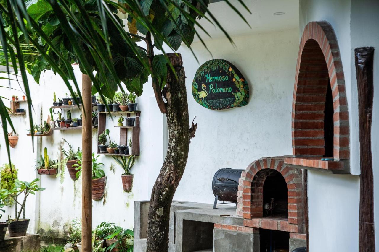 Hostal Hermoso Palomino Exterior foto