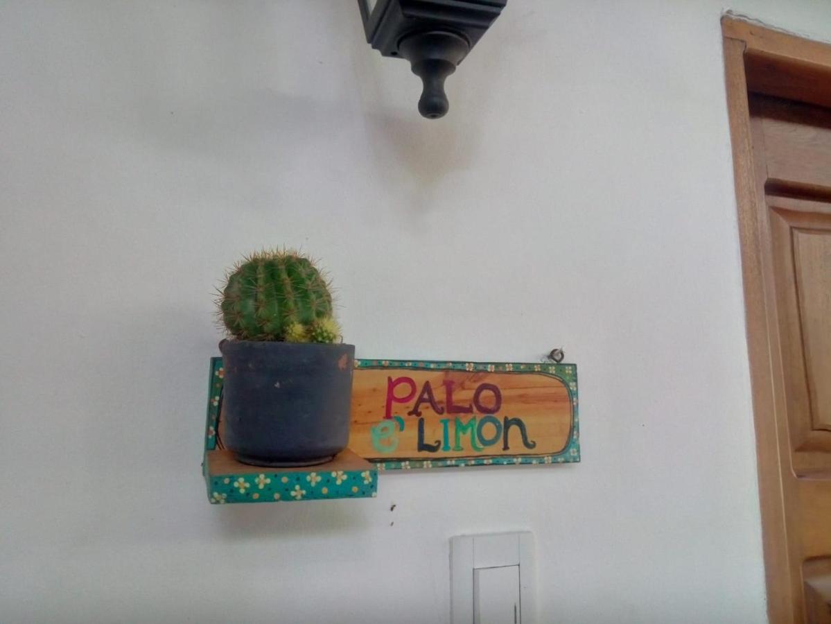 Hostal Hermoso Palomino Exterior foto